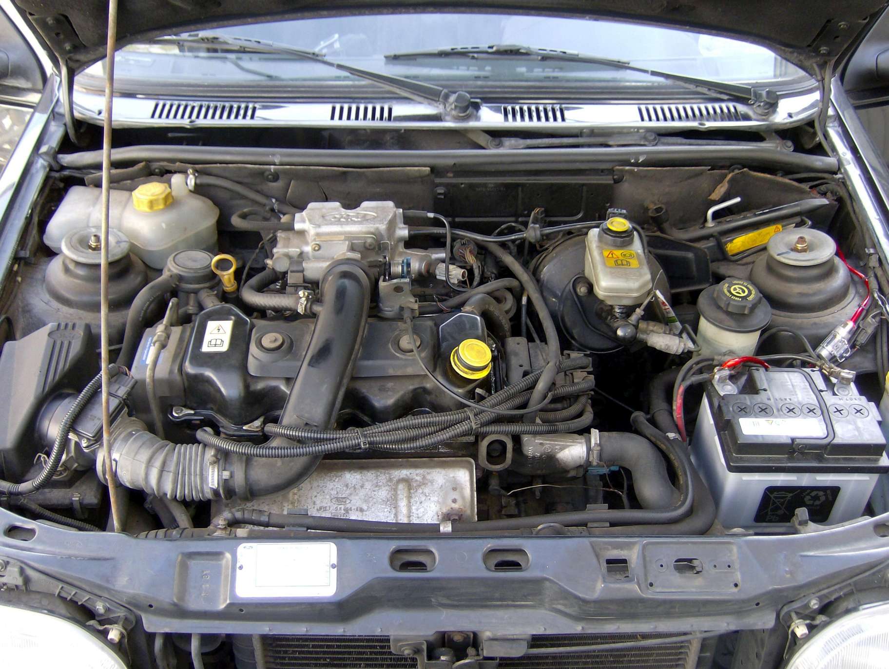 Ford Fiesta IV (Mk7) 1.25 82 HP 3